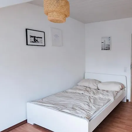 Loft In - 2 Dz *