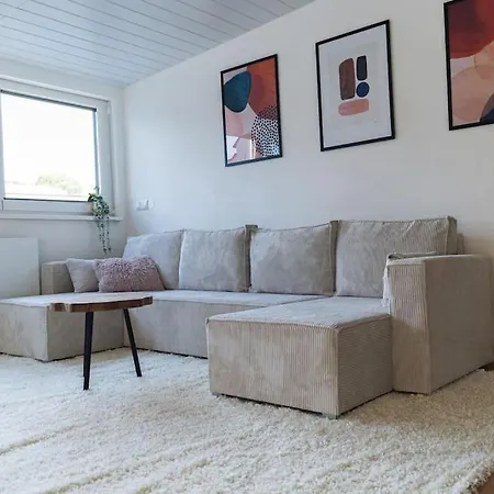 Loft In - 2 Dz