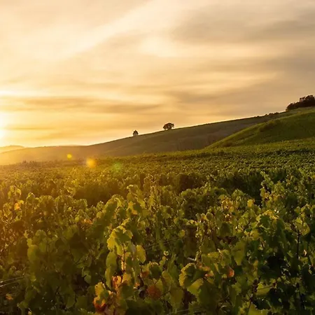 Loft In - 2 Dz Daire Eltville am Rhein