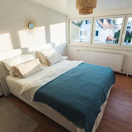 Loft In - 2 Dz