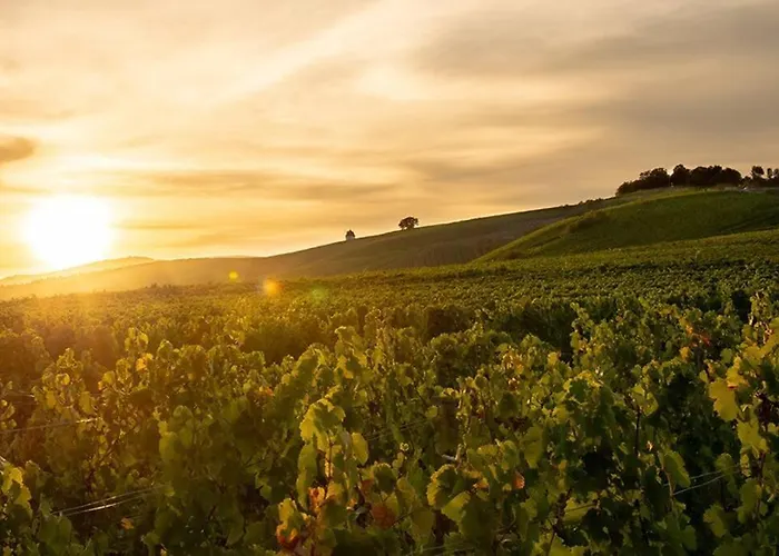 Loft In - 2 Dz Apartmán Eltville am Rhein